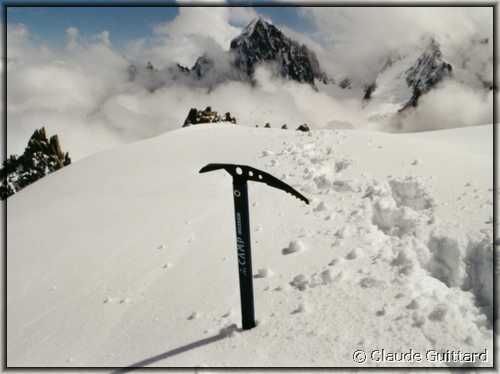 pioletchardonnet1024.JPG