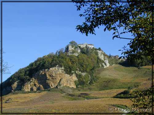 DSCN8644.JPG