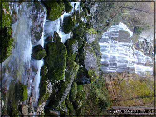 DSCN8751.JPG