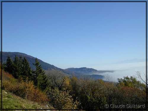 DSCN9153.JPG
