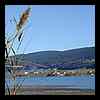 DSCN9174.JPG