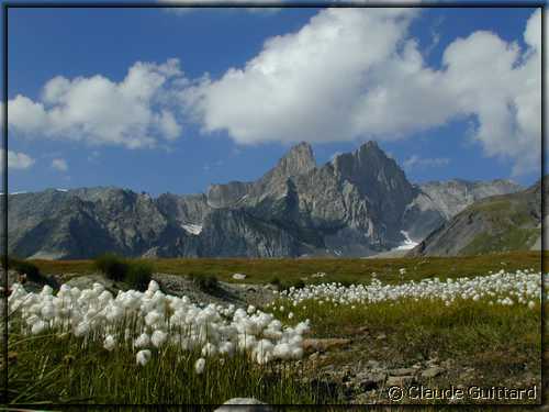 DSCN7856.JPG