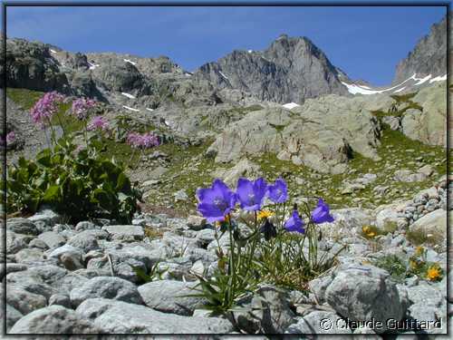 DSCN7968.JPG