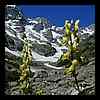 DSCN4835.JPG
