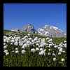 DSCN6580.JPG