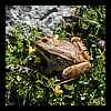 DSCN6584.JPG