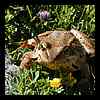 DSCN6585.JPG