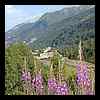 DSCN6723.JPG