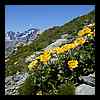 DSCN6963.JPG