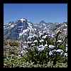 DSCN6964.JPG