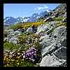 DSCN7107.JPG