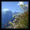 DSCN7185.JPG