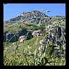DSCN7294.JPG