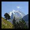 DSCN7800.JPG