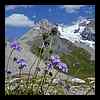 DSCN7833.JPG