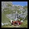Dscn78021.jpg