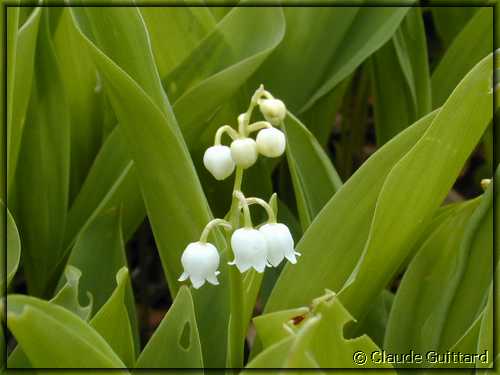 DSCN3968.JPG