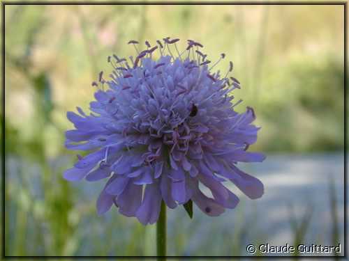DSCN4385.JPG