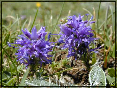 DSCN5088.JPG