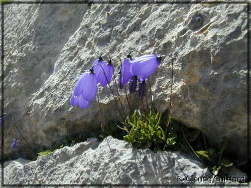 DSCN7163.JPG
