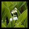 DSCN3968.JPG