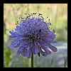 DSCN4385.JPG