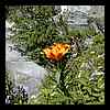 DSCN4773.JPG
