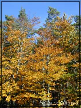 DSCN0005.JPG
