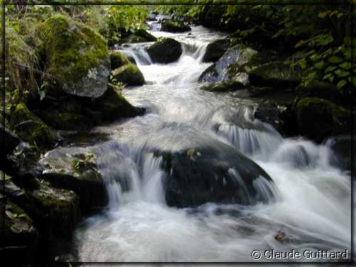 DSCN0112.JPG
