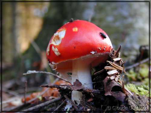 DSCN1078.JPG