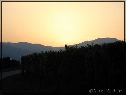 DSCN8362.JPG