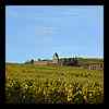 DSCN0115.JPG