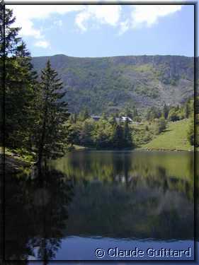 DSCN4205.JPG