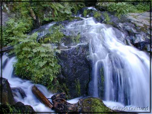 DSCN4394.JPG
