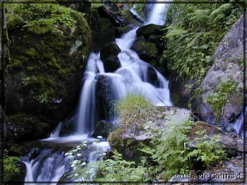 DSCN4396.JPG
