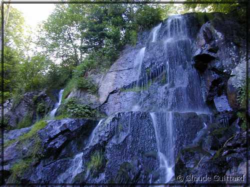 DSCN4398.JPG