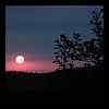 DSCN3907.JPG