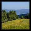 Dscn4230.jpg