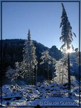 DSCN3293.JPG