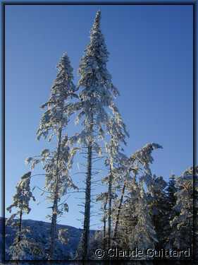 DSCN3296.JPG