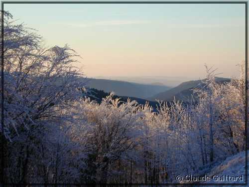 DSCN3311.JPG