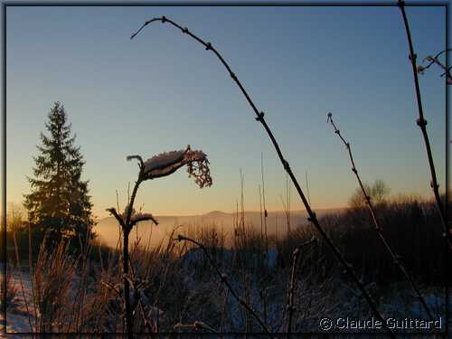 DSCN9619.JPG