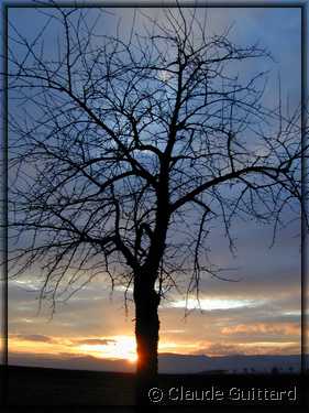Dscn24651.jpg