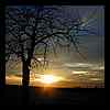 DSCN2442.JPG