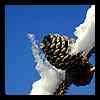 DSCN9589.JPG