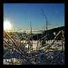 DSCN9592.JPG