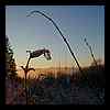 DSCN9619.JPG