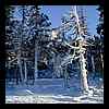 Dscn9567.jpg